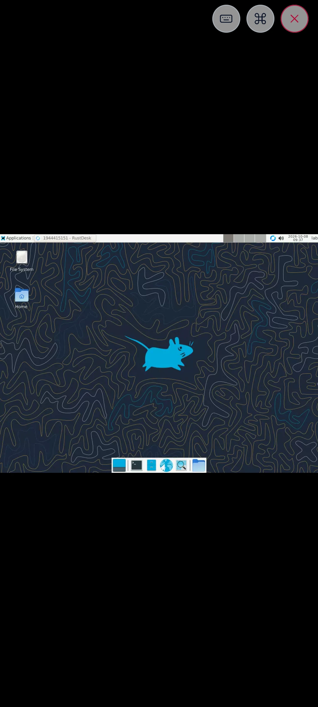 The remote desktop viewer on a phone