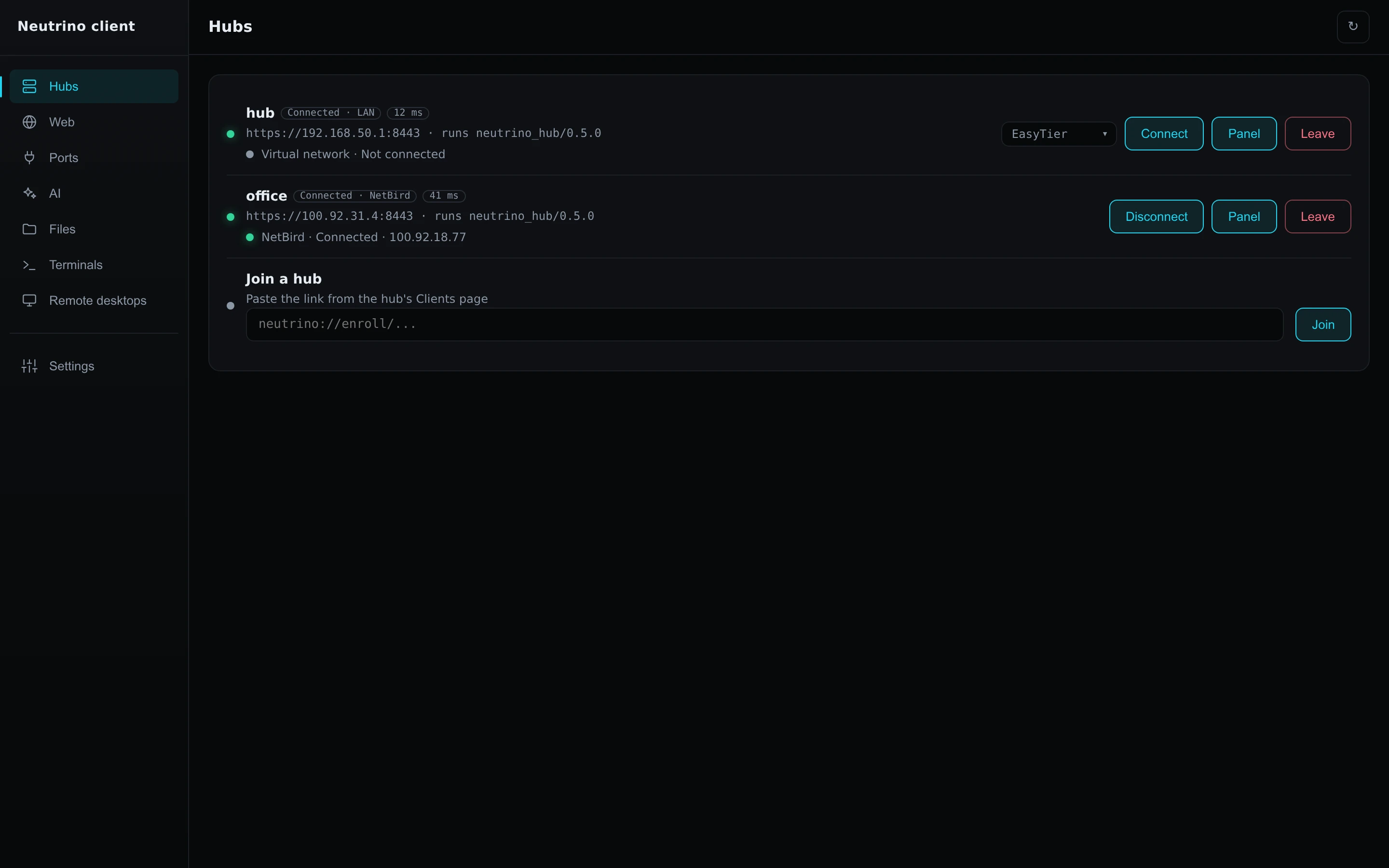 The Hubs page with two hub rows, one reached over the LAN and one through NetBird