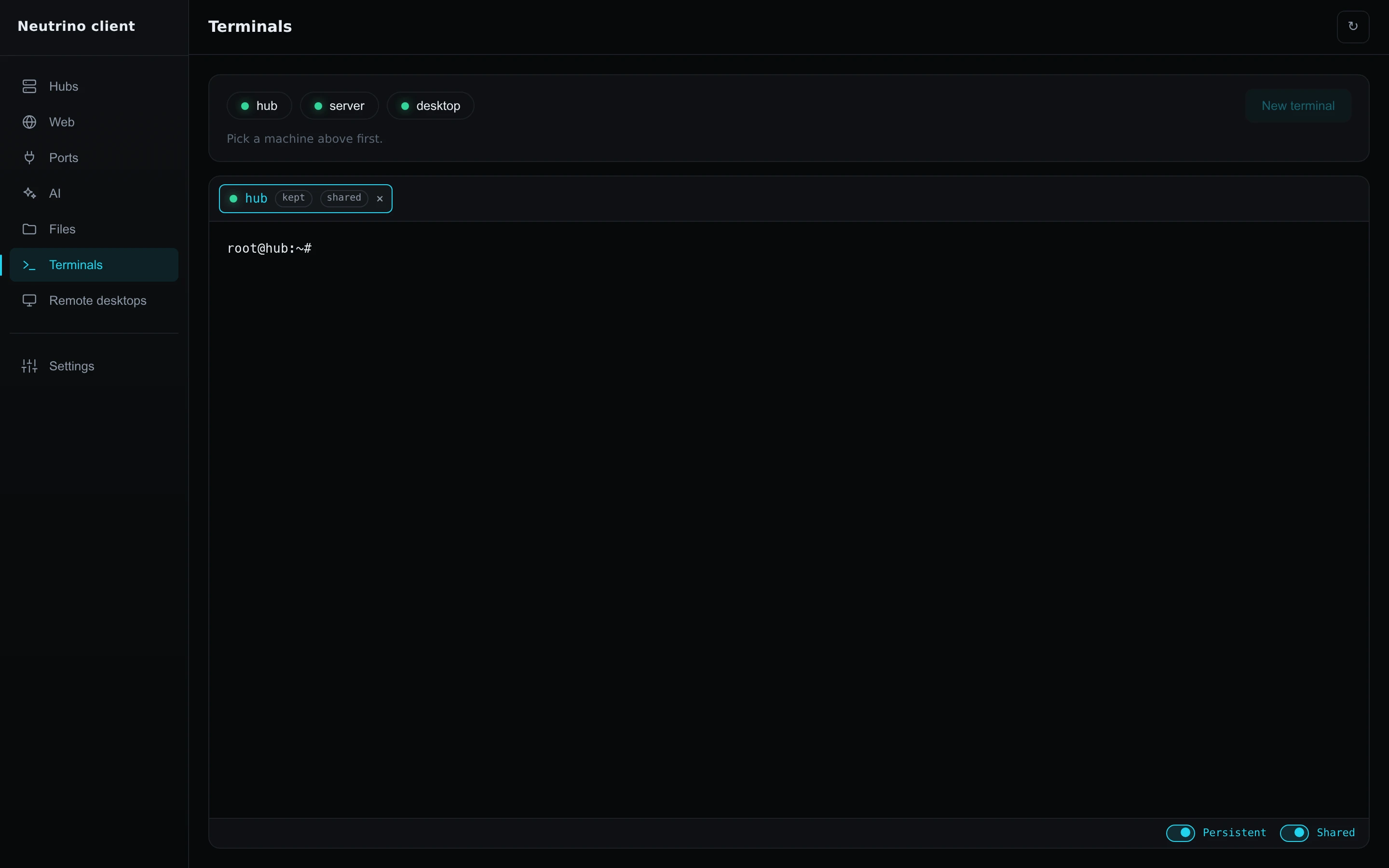 A terminal tab with Persistent and Shared on