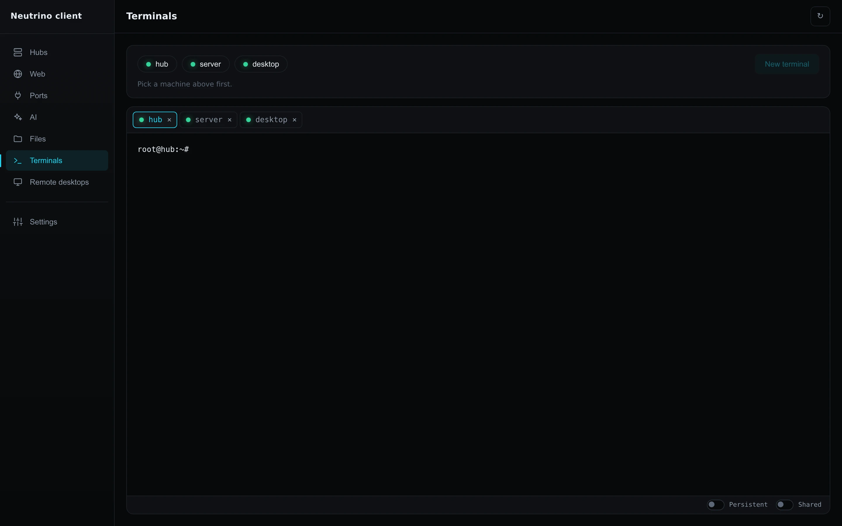 Three terminal tabs in the client, one for each machine