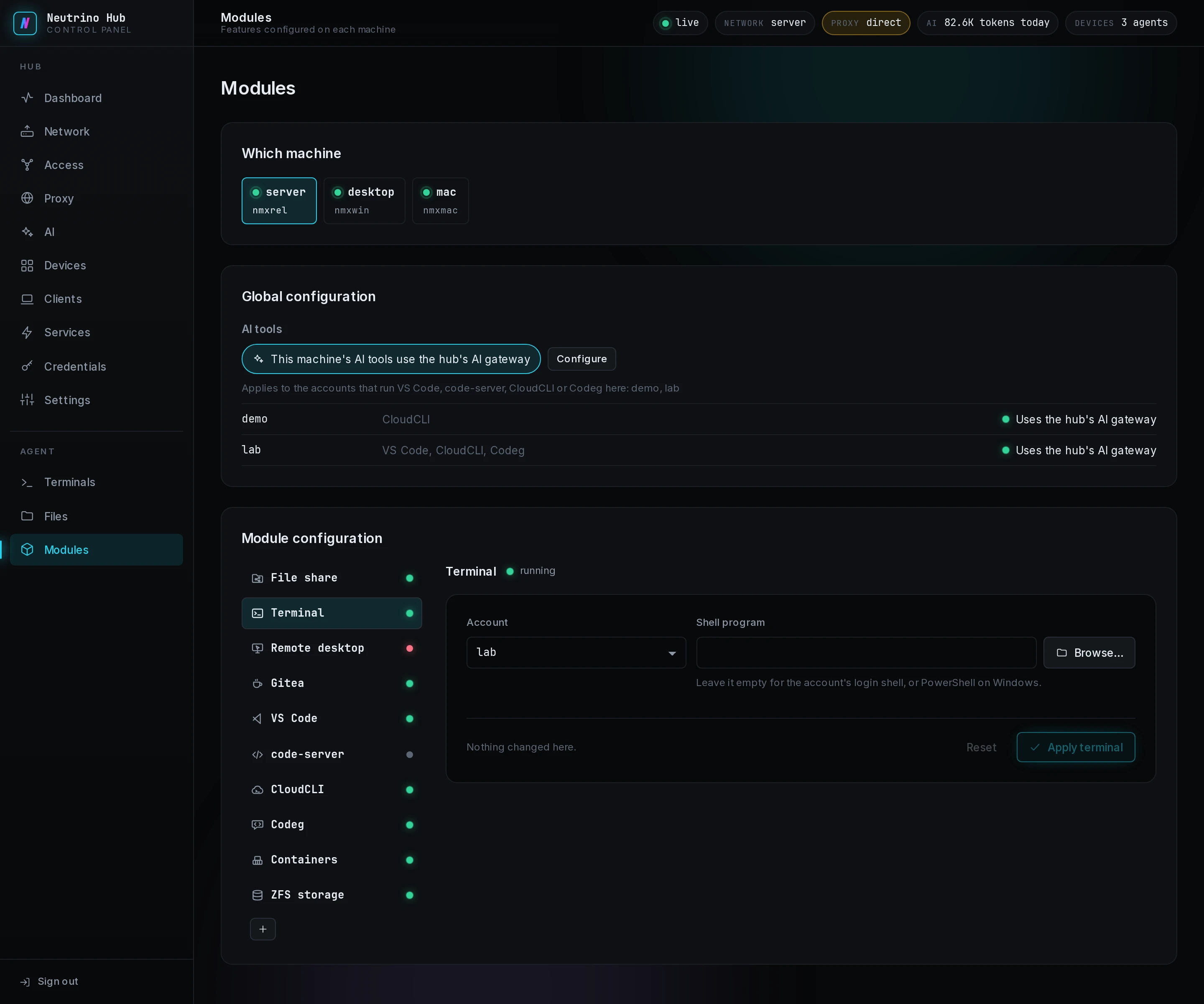 The Terminal tab of server, with an account picked