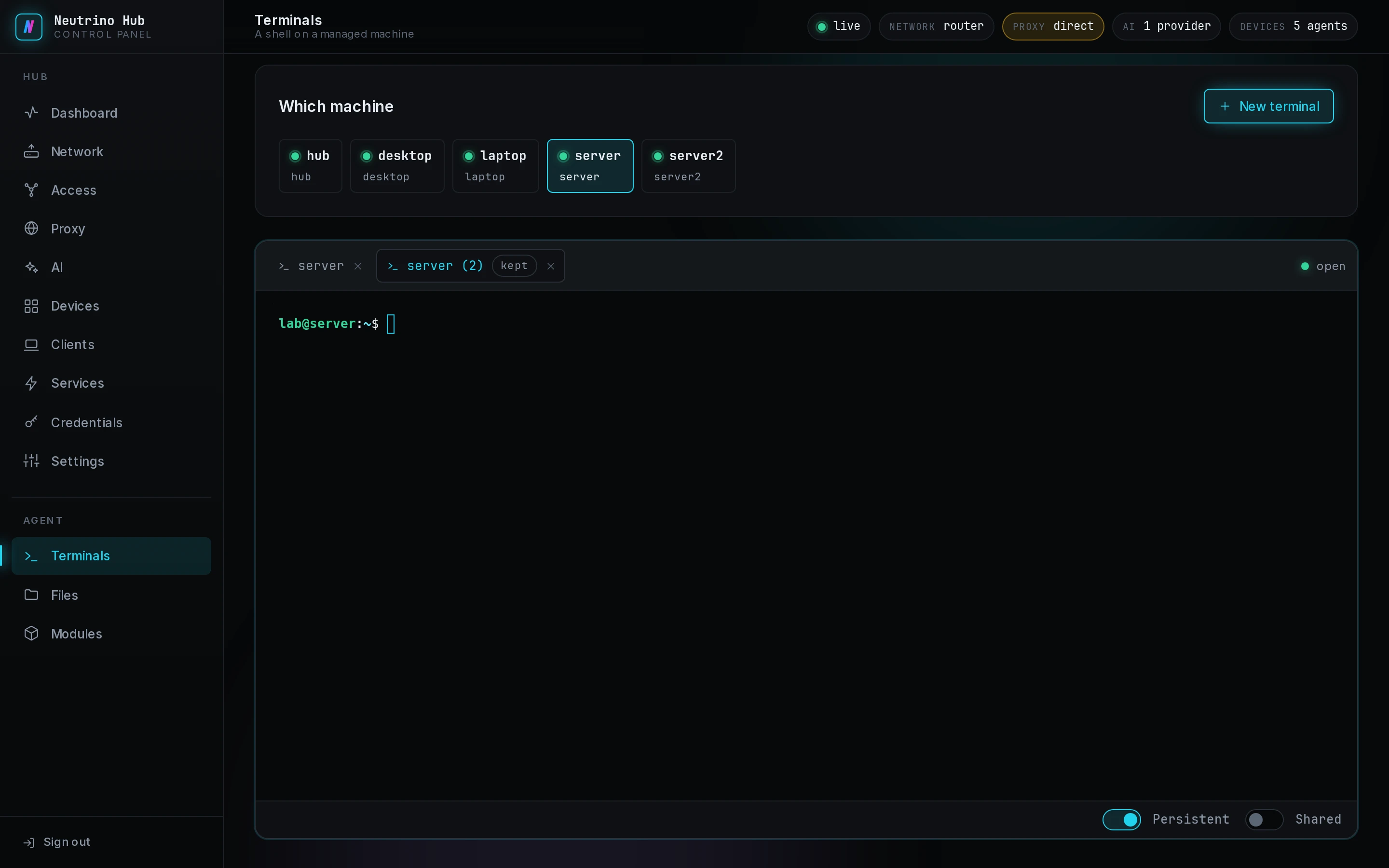 The Terminals page with two shell tabs and the Persistent switch on
