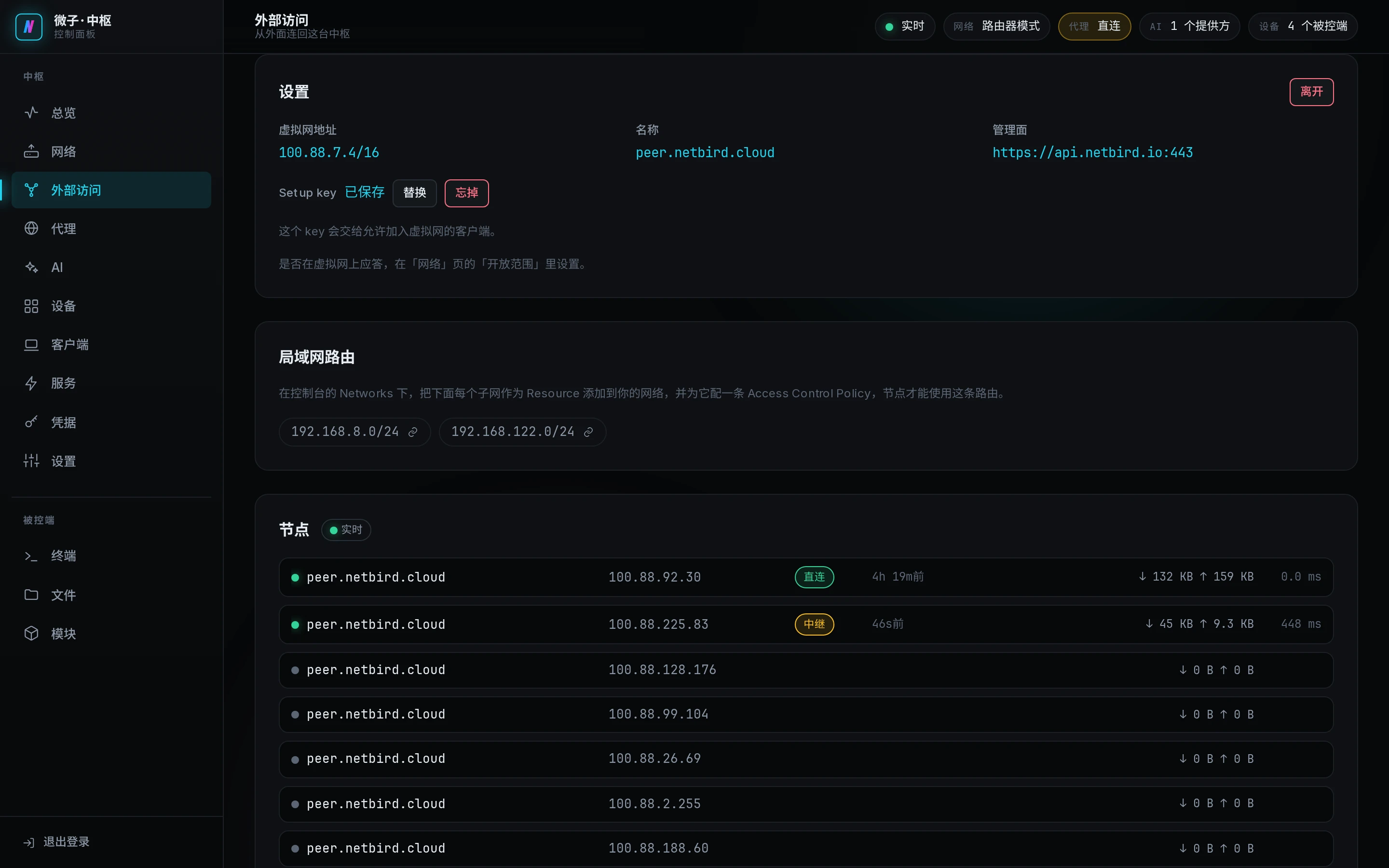 加入之后的 NetBird 设置