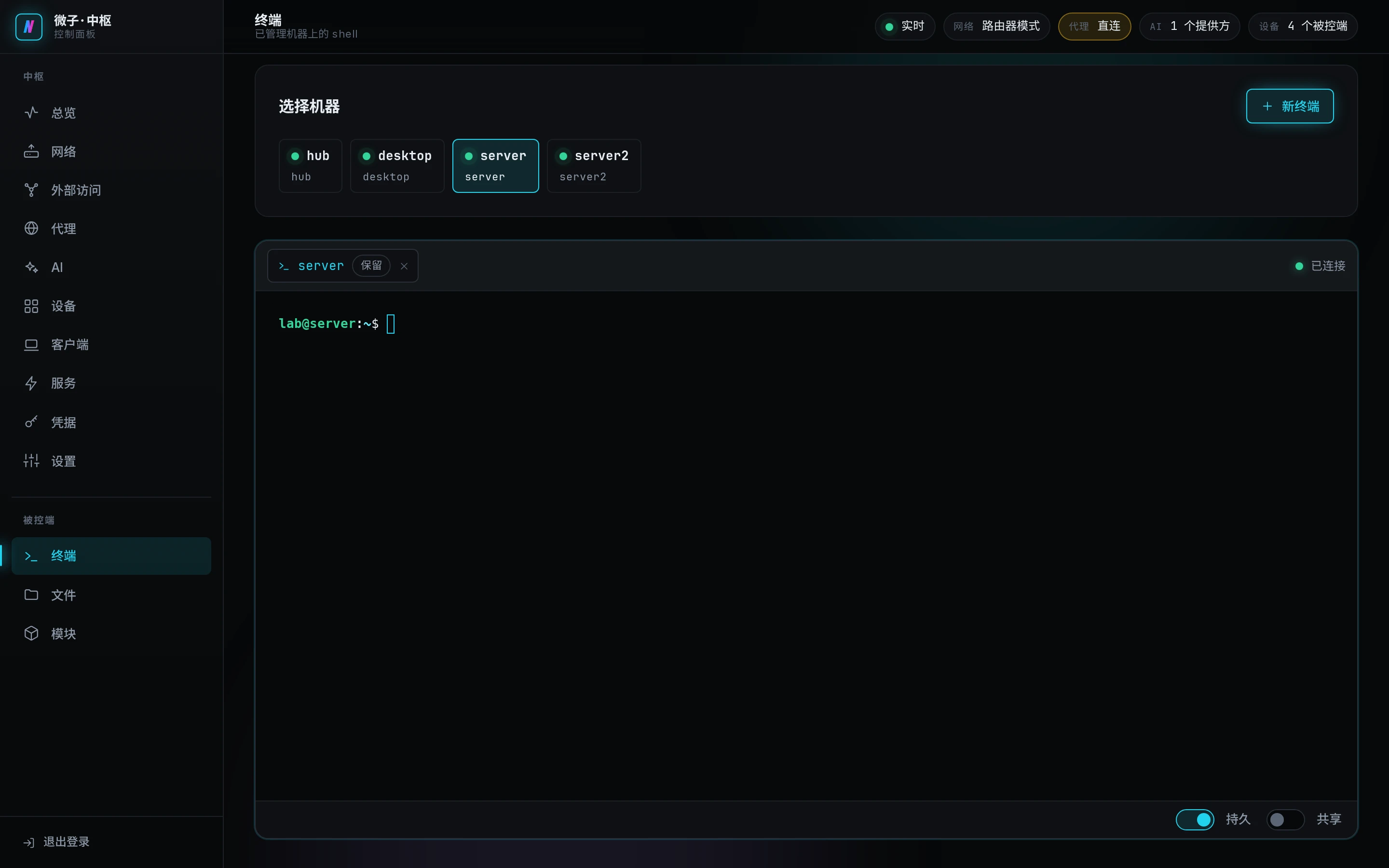 终端页,server 上的两个 shell 标签,持久开关已打开